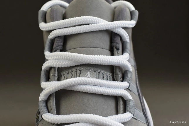 528895-003 Jordan Grey 11 Low Air Cool 0306